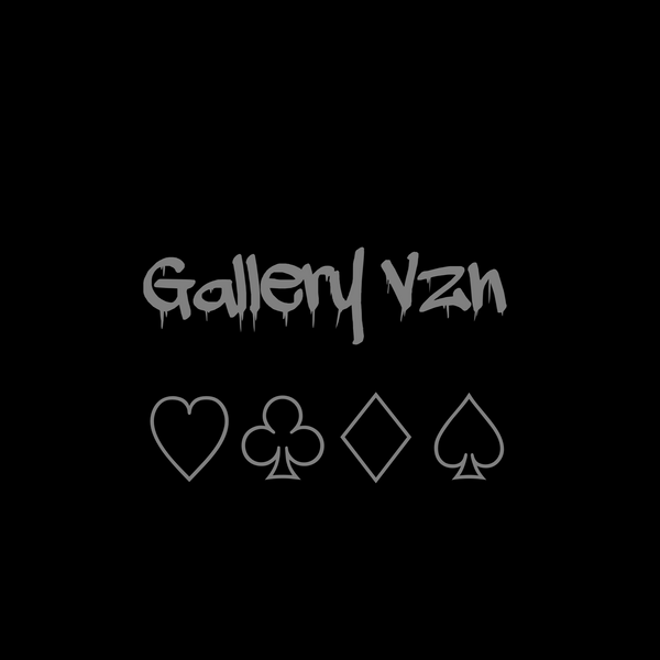 gallery vzn